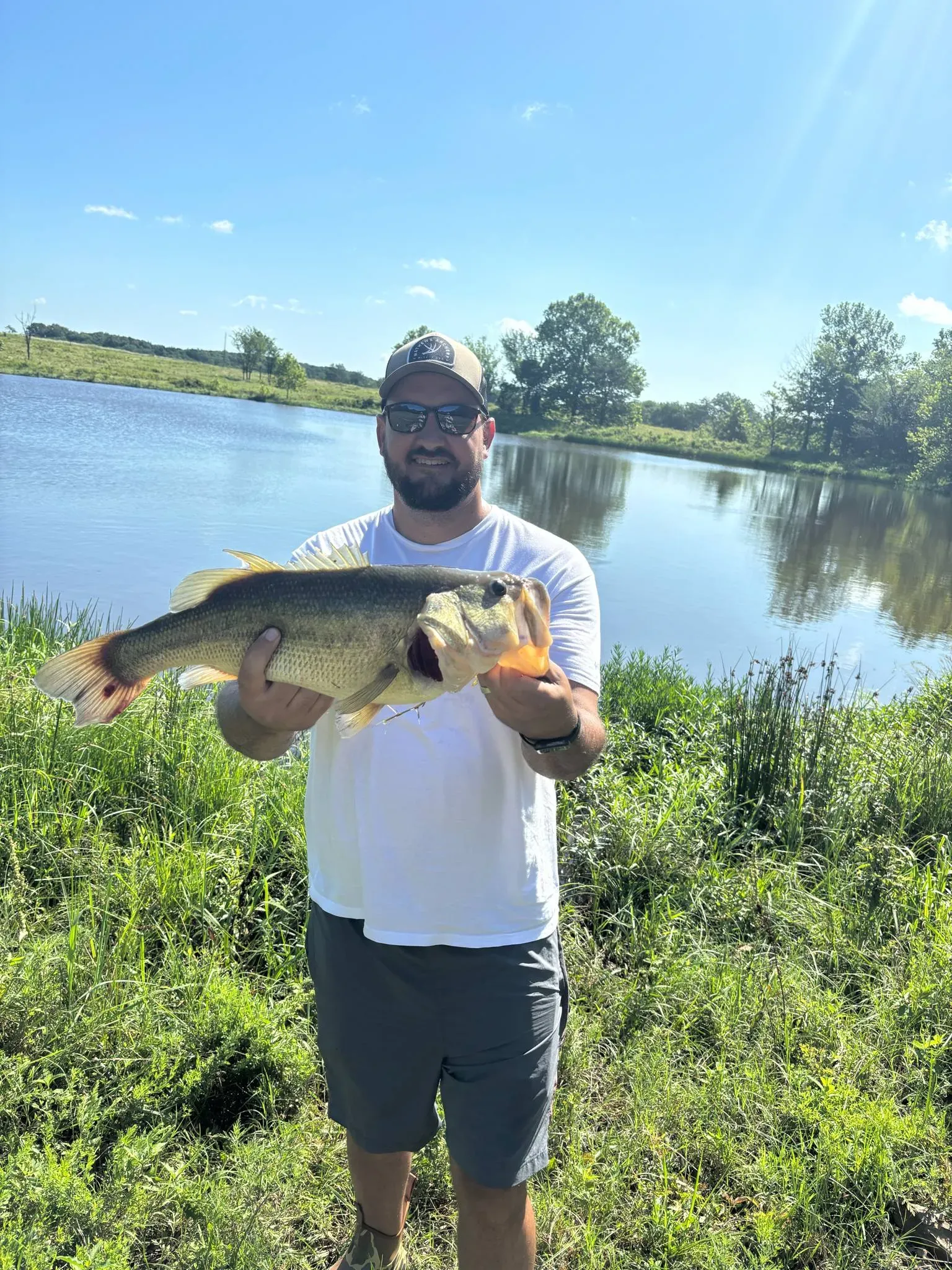 Best Time to Fish Lake Lavon: A Complete Seasonal Angling Guide